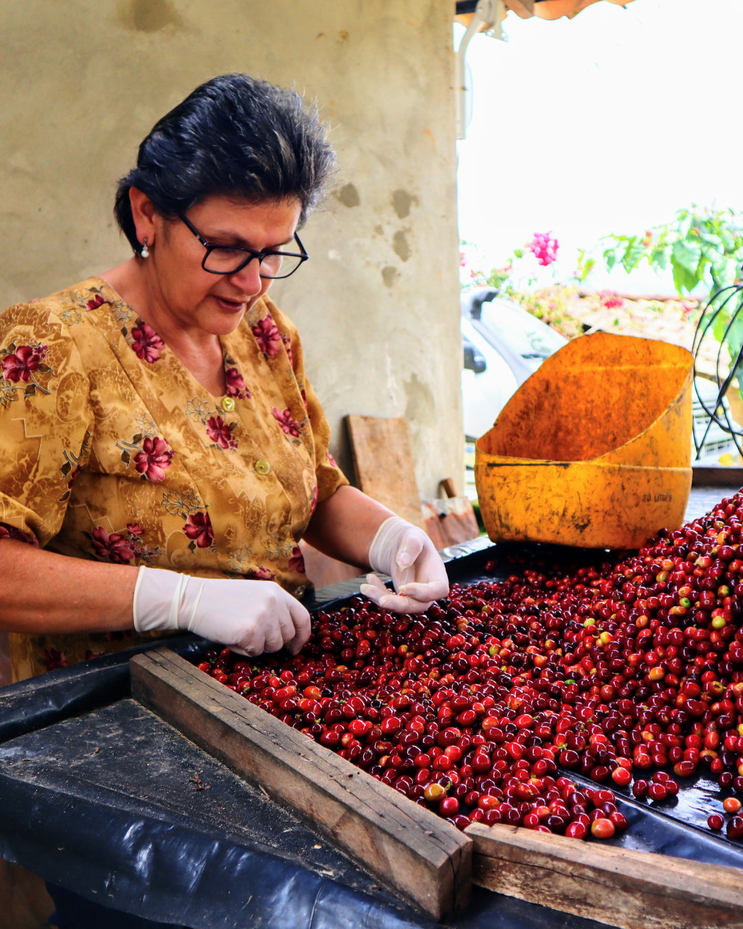 Medellin Coffee Roasters - La vega